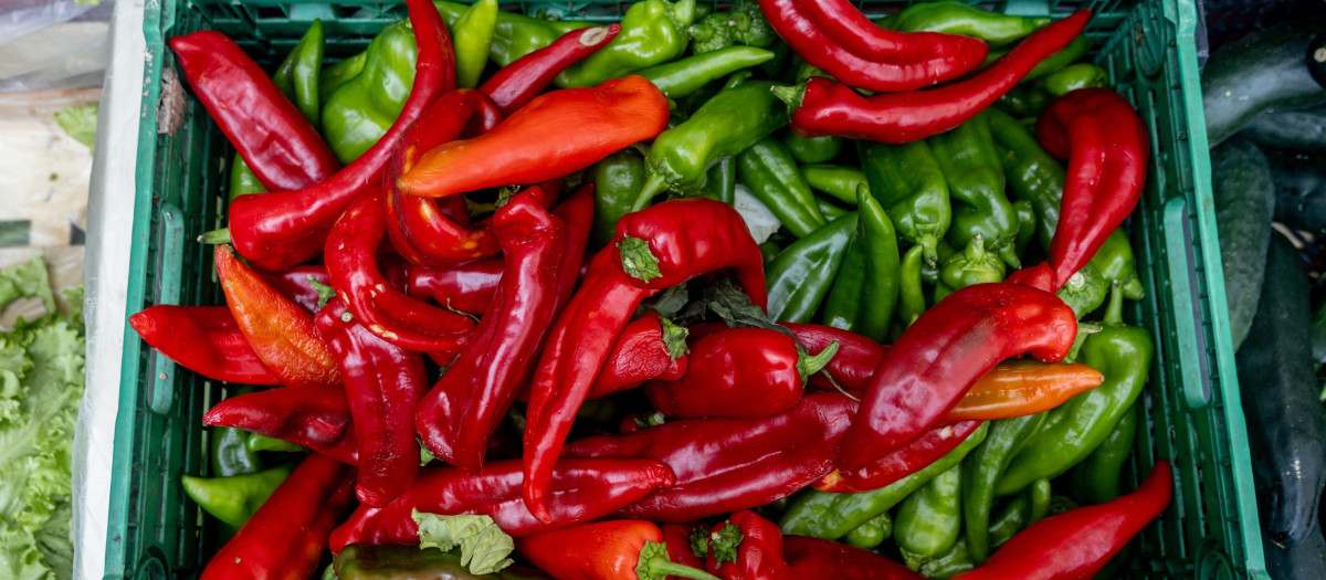 Recursos de pimientos en el mercado de ‘La Despensa de Madrid’