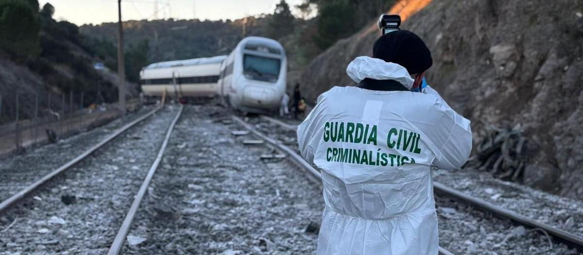 Agente de Criminalística de la Guardia Civil en la zona del accidente ferroviario en Adamuz (Córdoba)

REMITIDA / HANDOUT por GUARDIA CIVIL
Fotografía remitida a medios de comunicación exclusivamente para ilustrar la noticia a la que hace referencia la imagen, y citando la procedencia de la imagen en la firma
19/1/2026