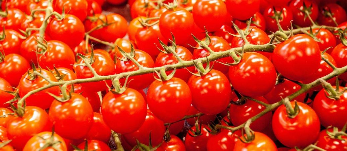 Imagen de recurso de tomates cherry