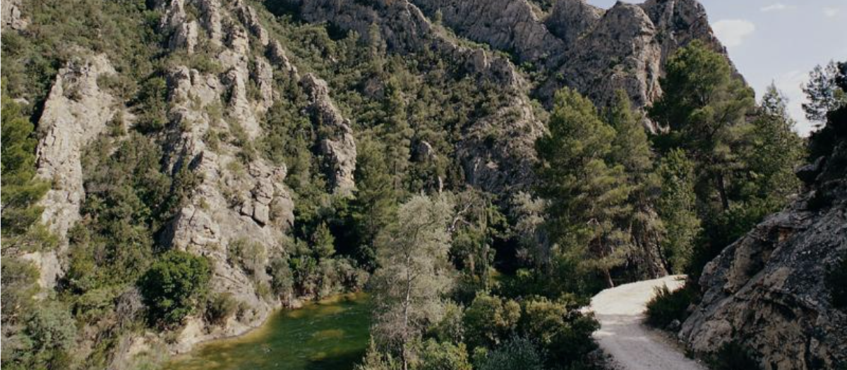 Imagen de el Parque Natural Hoces del Cabriel