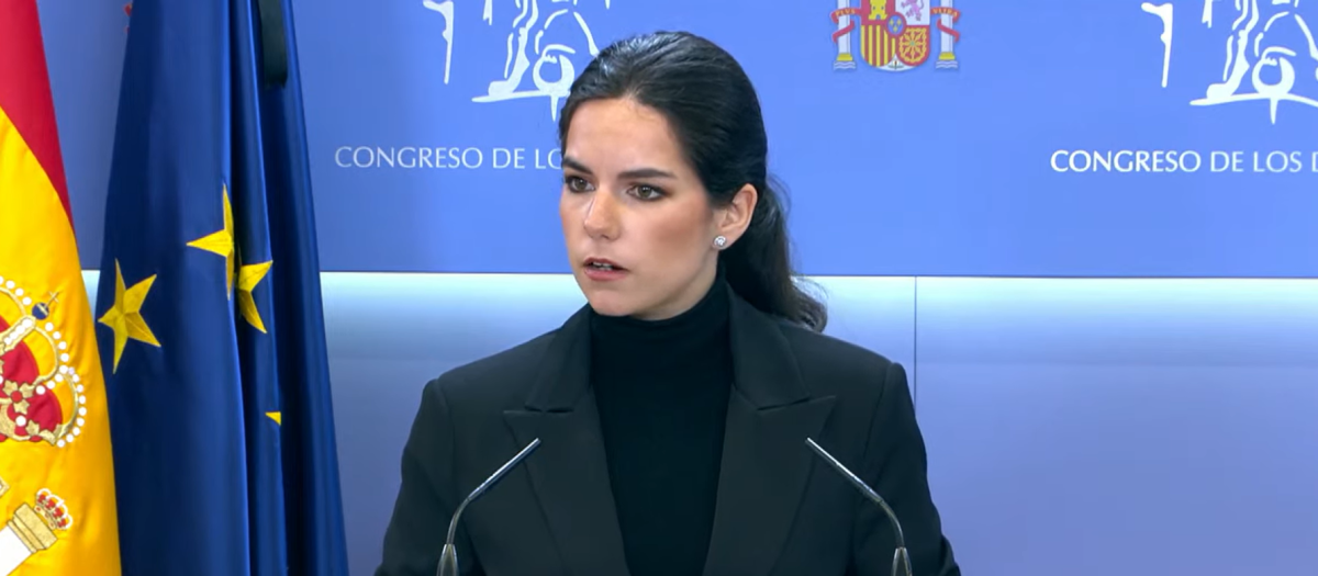 La portavoz de Vox en el Congreso, Pepa Millán