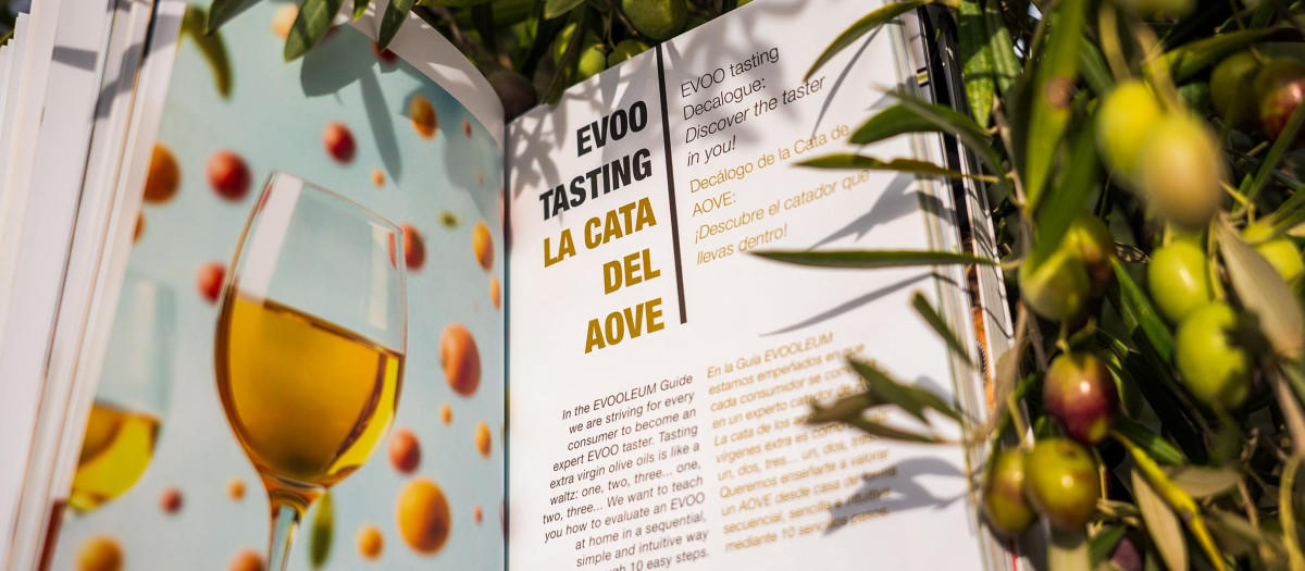 Página cata del AOVE Guía EVOOLEUM 2026