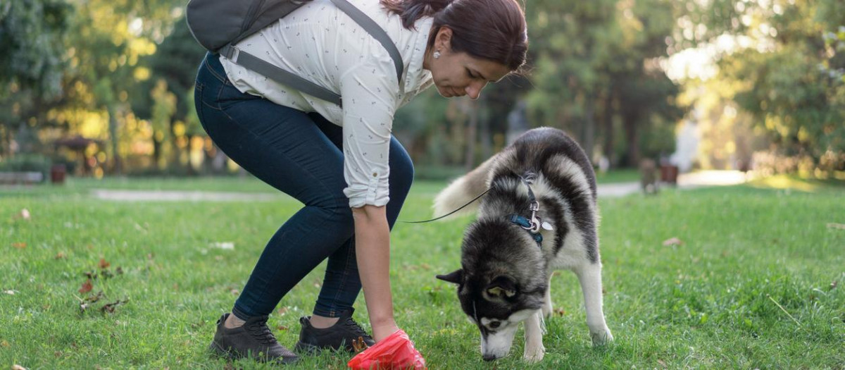 Imagen de recurso de una mujer recogiendo las heces de su perro en un parque