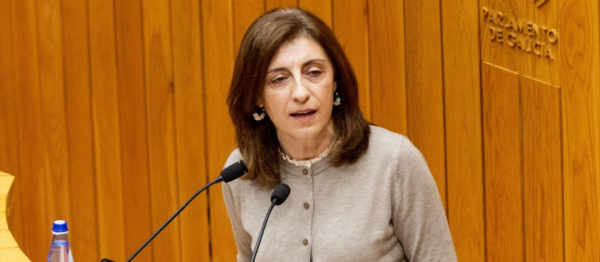 (Foto de ARCHIVO)
La conselleira de Medio Ambiente, Ángeles Vázquez, en el Parlamento

XUNTA DE GALICIA / Europa Press
03/12/2025