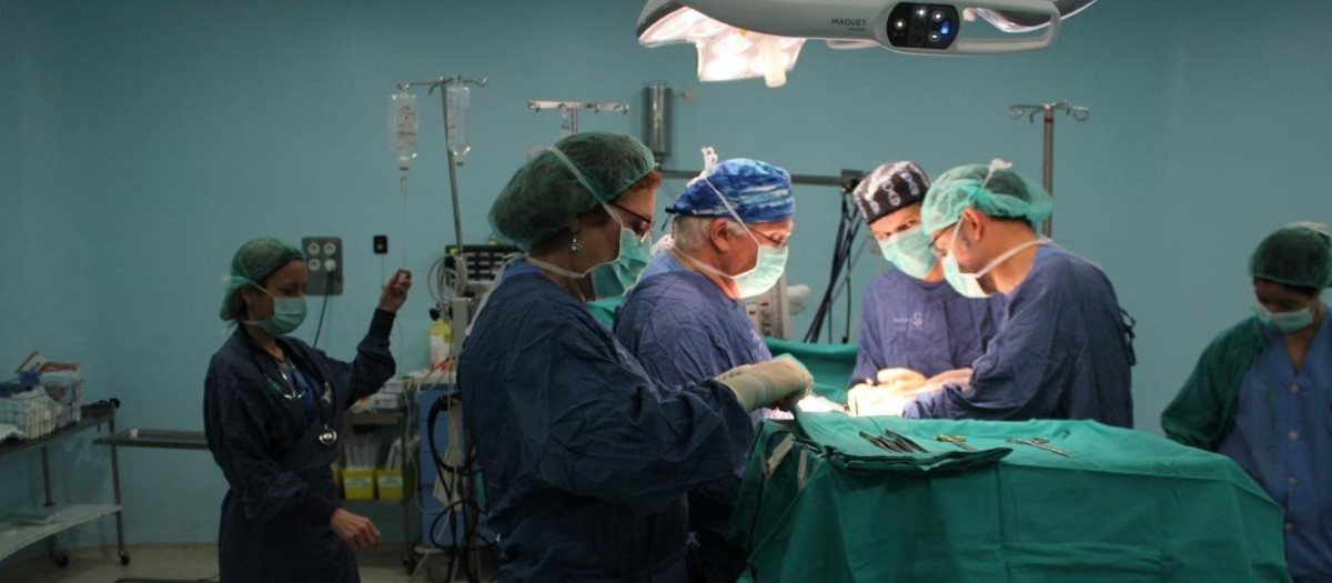 Trasplante. Donación de órganos.

REMITIDA / HANDOUT por JCCM
Fotografía remitida a medios de comunicación exclusivamente para ilustrar la noticia a la que hace referencia la imagen, y citando la procedencia de la imagen en la firma
22/1/2026