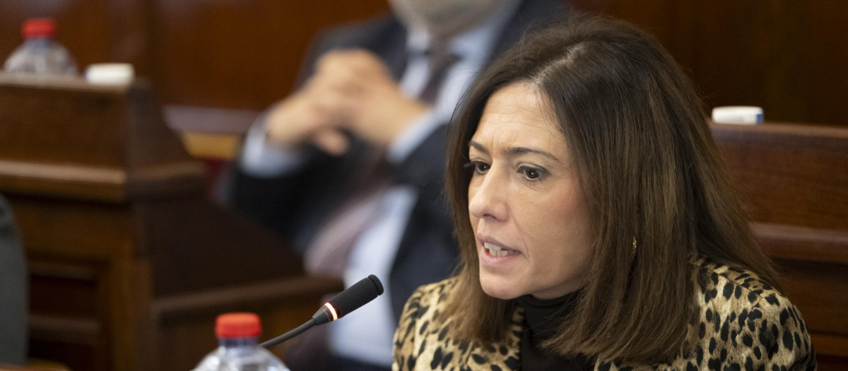 Imagen de la diputada María Tormo