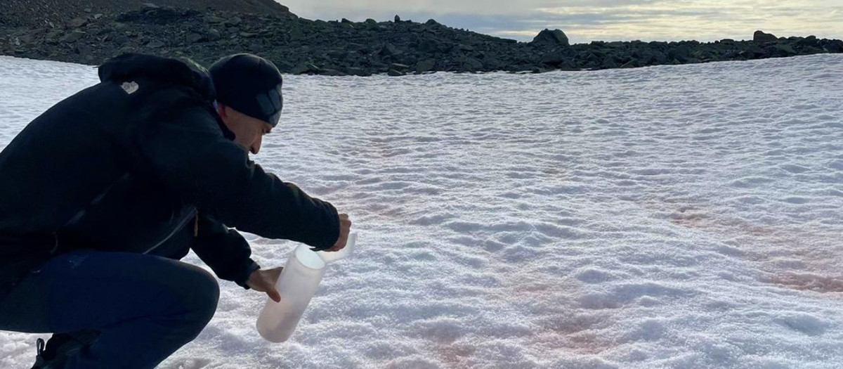 Trabajo de muestre de las algas rojas en la Antártida