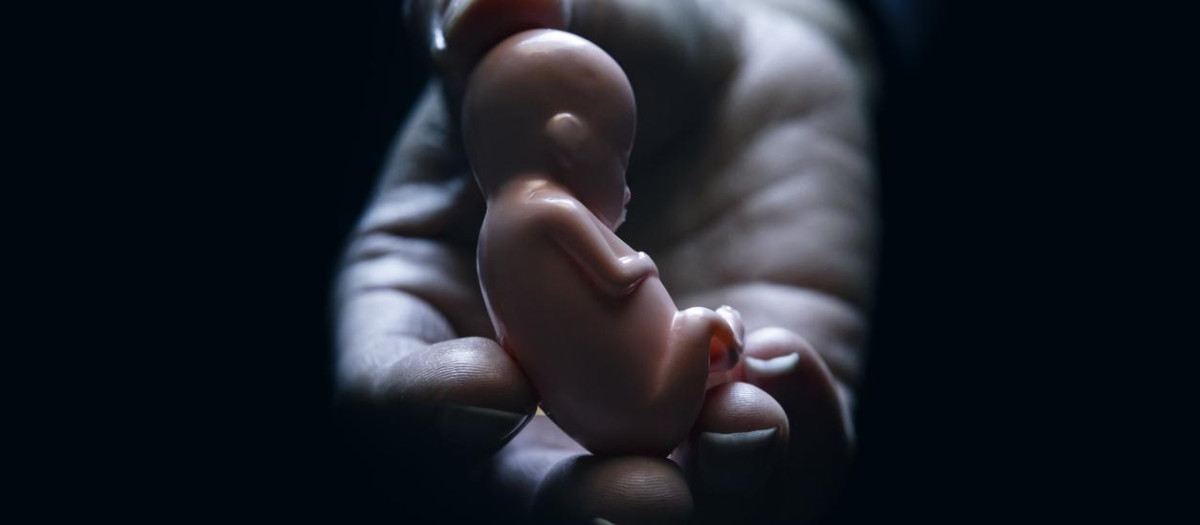 Mata millones de fetos al año en EE.UU.