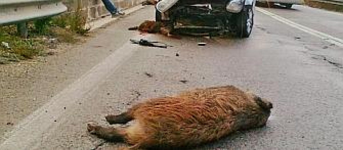 ¿De verdad que tenemos que mover ese bicho nosotros solos?