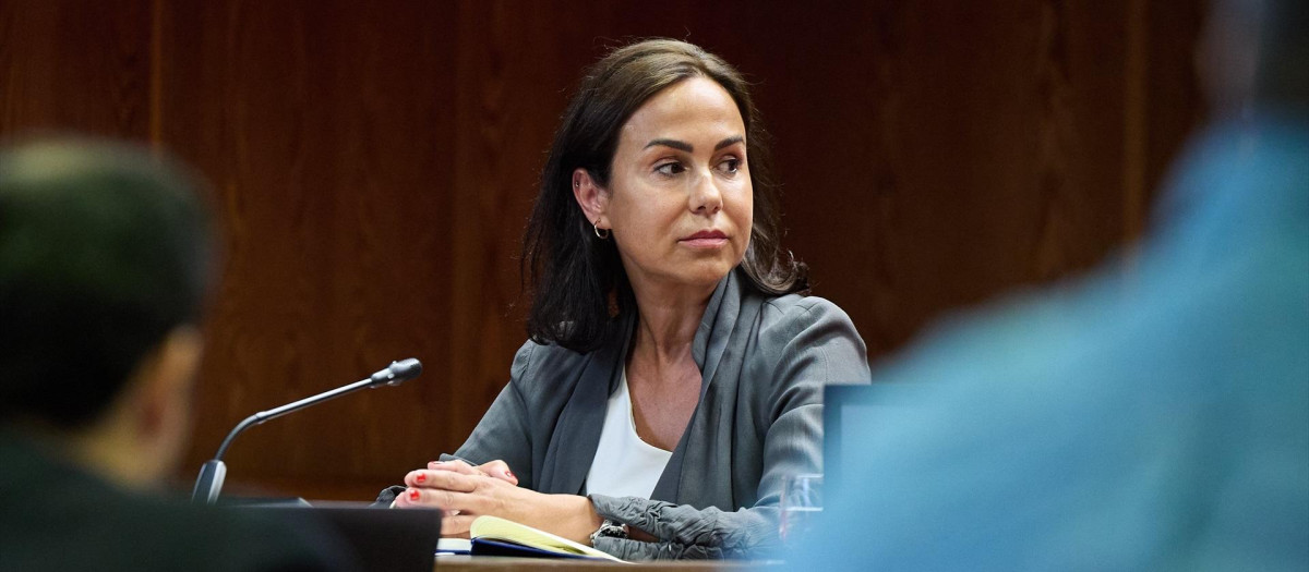 La expresidenta de Adif y ex secretaria de Estado de Transportes, Movilidad y Agenda Urbana, Isabel Pardo de Vera Posada, durante su comparecencia ante la Comisión de Investigación sobre el ‘caso Koldo’, en el Senado