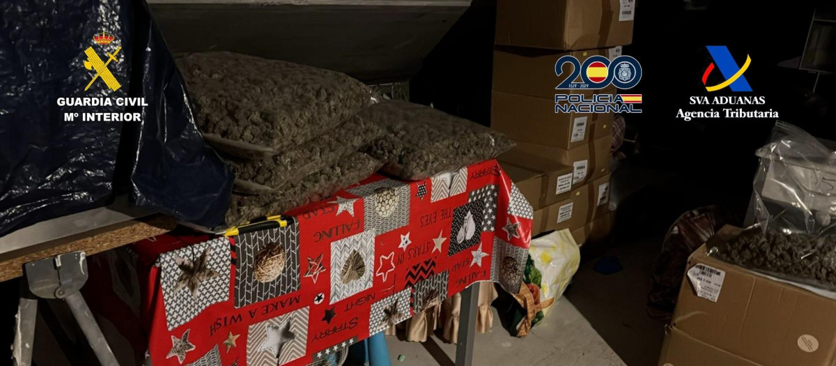 Marihuana hallada por la Guardia Civil en la operación 'Ataraxia'.

REMITIDA / HANDOUT por GUARDIA CIVIL
Fotografía remitida a medios de comunicación exclusivamente para ilustrar la noticia a la que hace referencia la imagen, y citando la procedencia de la imagen en la firma
27/1/2026