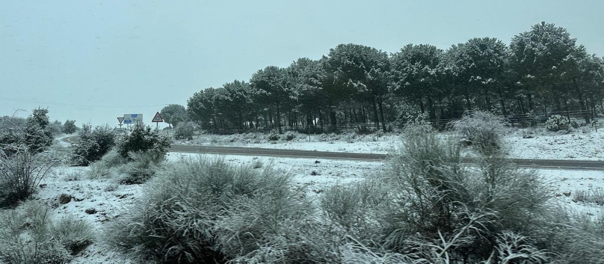 Nieve en carretera

EUROPA PRESS
17/1/2026