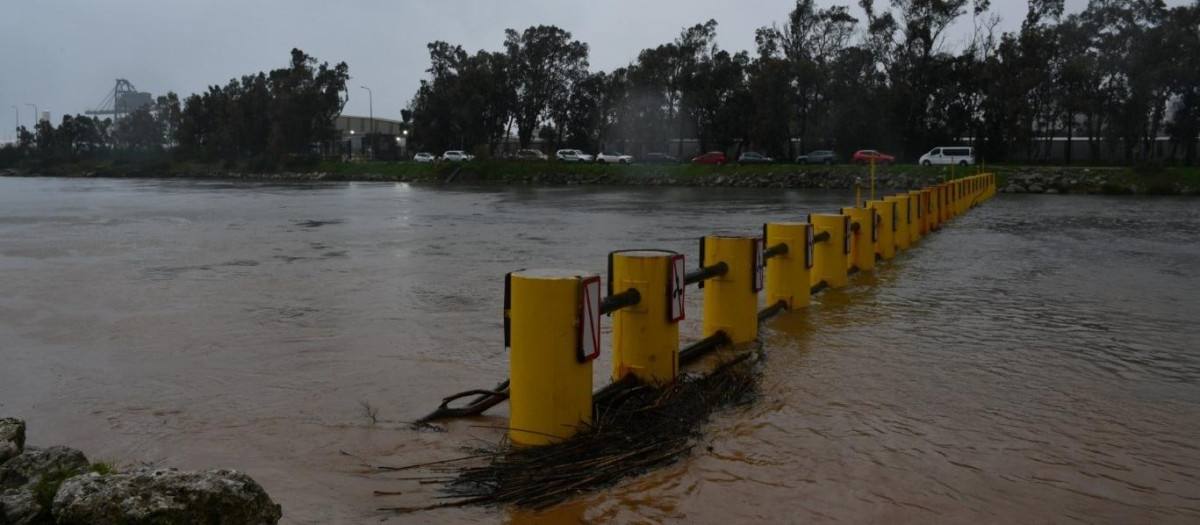 Efectos de la borrasca Kristin en San Roque (Cádiz)

REMITIDA / HANDOUT por AYUNTAMIENTO DE SAN ROQUE (CÁDIZ)
Fotografía remitida a medios de comunicación exclusivamente para ilustrar la noticia a la que hace referencia la imagen, y citando la procedencia de la imagen en la firma
29/1/2026