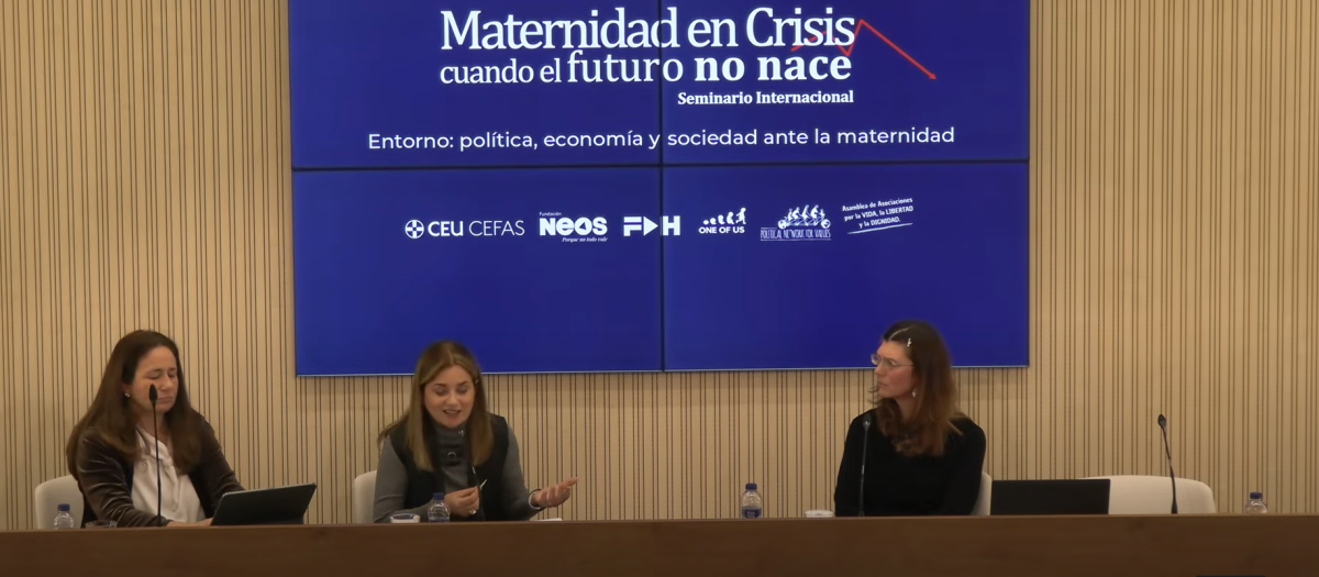 La maternidad en crisis