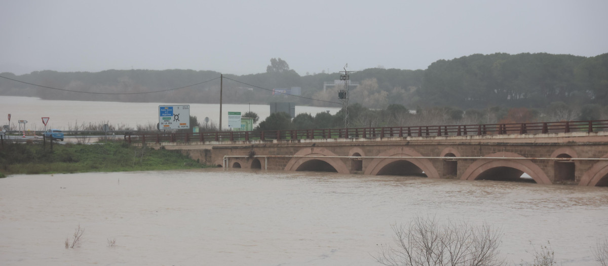 El río Guadalete desborda sus márgenes a su paso por la zona de Las Pachecas en Jerez de la Frontera (Cádiz) provocando importantes inundaciones. A 4 de febrero de 2026, en Jerez de la Frontera, Cádiz (Andalucía, España). La Agencia Estatal de Meteorología (Aemet) ha activado hasta las 15.00 horas de este miércoles 4 de febrero aviso de nivel rojo --peligro extraordinario-- en la comarca gaditana del Campo de Gibraltar por lluvias que pueden dejar hasta 120 litros por metro cuadrado en 12 horas, especialmente en el entorno del municipio de Algeciras. En todo el litoral de Cádiz hay además activos avisos de nivel naranja por fenómenos costeros y fuertes vientos.

Rocío Ruz / Europa Press
04/2/2026