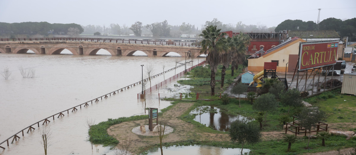 El río Guadalete desborda sus márgenes a su paso por la zona de Las Pachecas en Jerez de la Frontera (Cádiz) provocando importantes inundaciones. A 4 de febrero de 2026, en Jerez de la Frontera, Cádiz (Andalucía, España). La Agencia Estatal de Meteorología (Aemet) ha activado hasta las 15.00 horas de este miércoles 4 de febrero aviso de nivel rojo --peligro extraordinario-- en la comarca gaditana del Campo de Gibraltar por lluvias que pueden dejar hasta 120 litros por metro cuadrado en 12 horas, especialmente en el entorno del municipio de Algeciras. En todo el litoral de Cádiz hay además activos avisos de nivel naranja por fenómenos costeros y fuertes vientos.

Rocío Ruz / Europa Press
04/2/2026