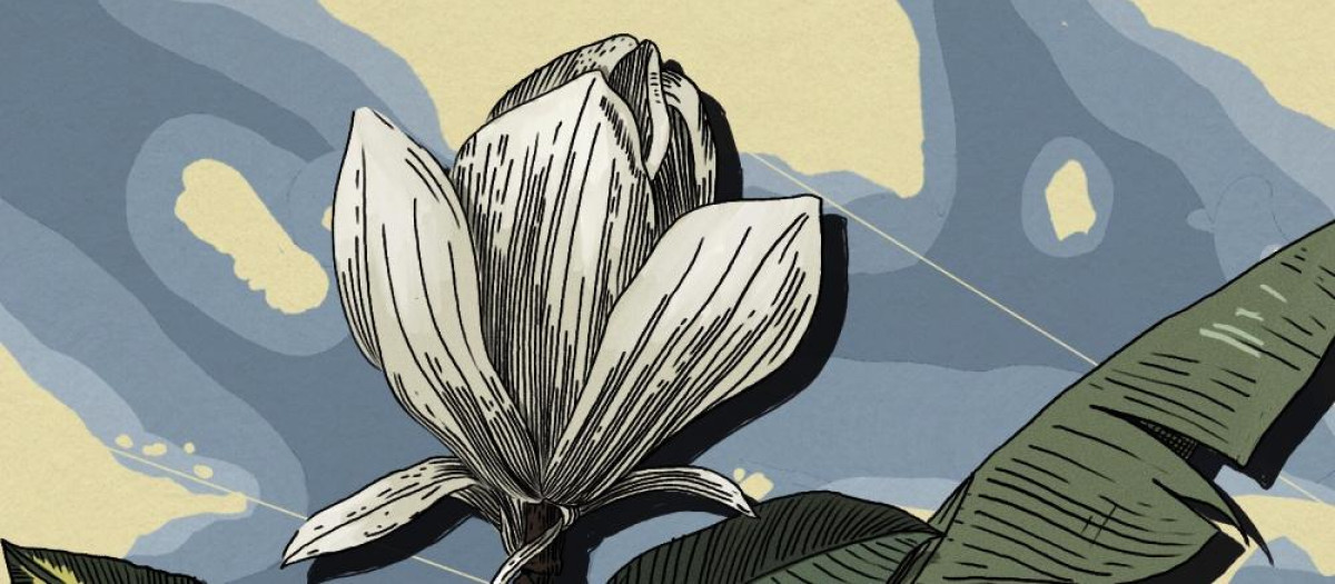 Reseña de 'Relatos de los mares del sur'