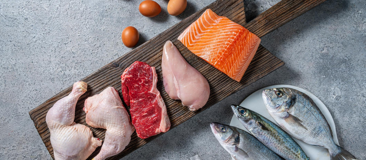 Healthy protein source food meat, eggs and fish: chicken, beaf, salmon, seabass, mackerel and sea bream on a cutting board in a gray kitchen table background