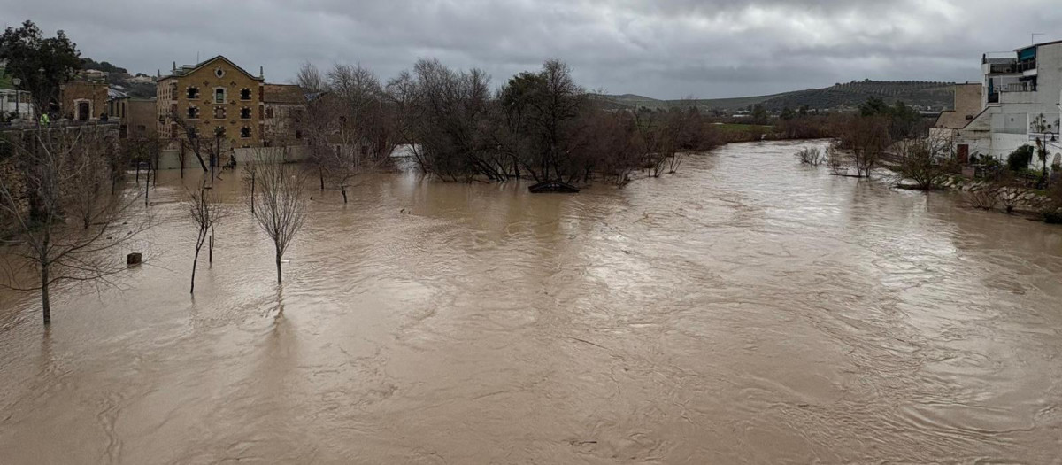 Cauce del río Genil a su paso por Puente Genil (Córdoba)