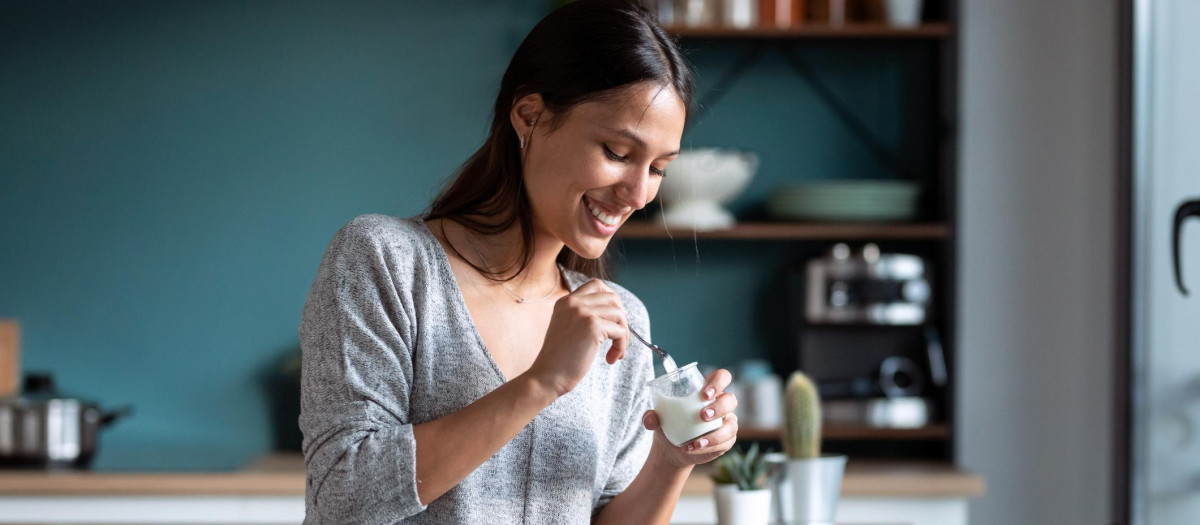 El yogur es una leche fermentada por la acción de bacterias lácticas