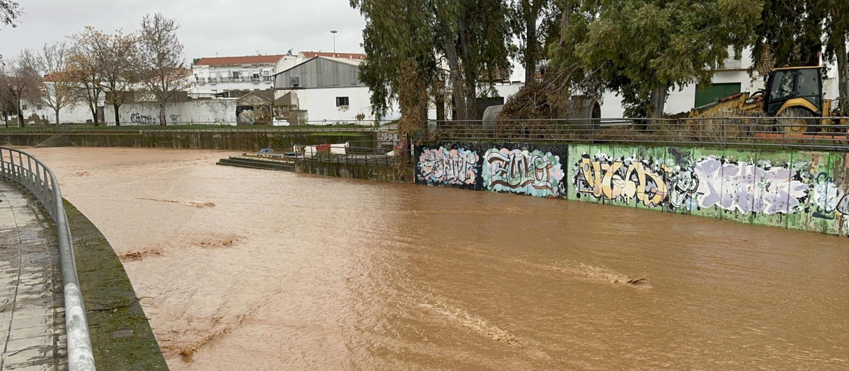 Desperfectos causados por la lluvia y el viento a su paso por Almendralejo, Extremadura