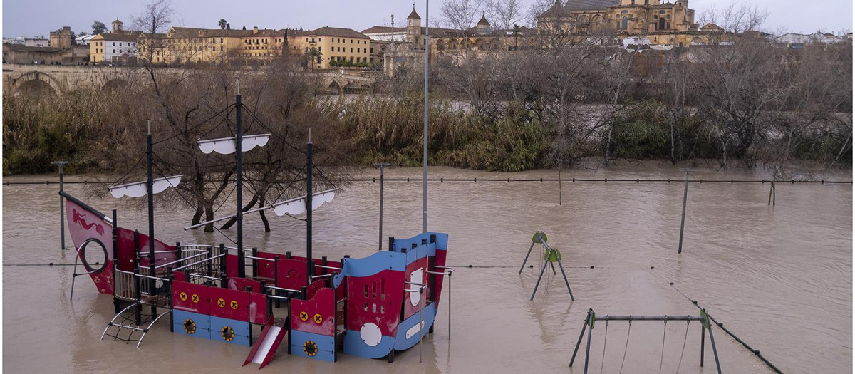 Parque infantil inundado en la península de Miraflores (Córdoba)