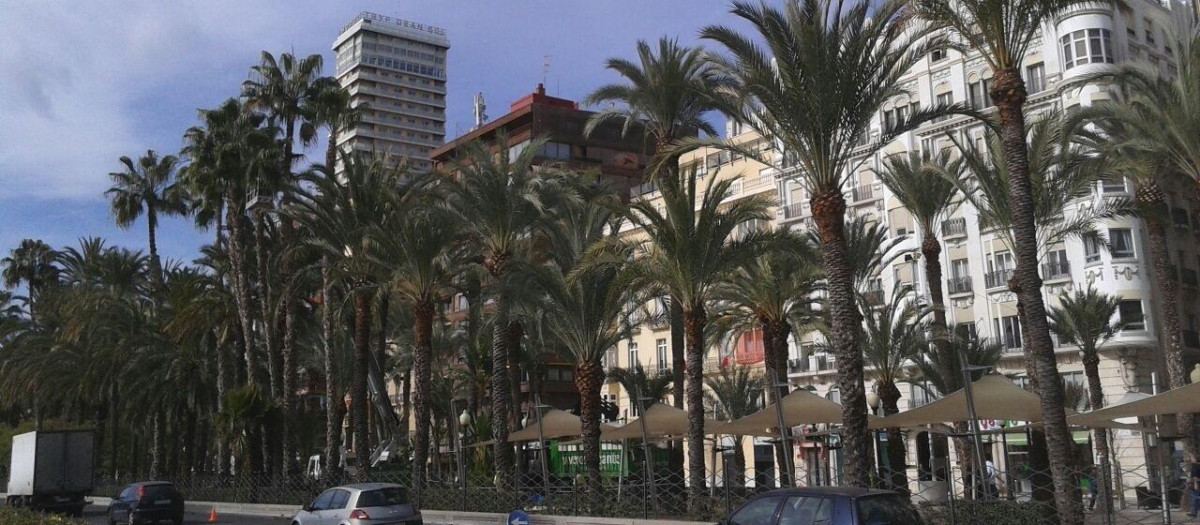 Imagen de archivo del Paseo de la Explanada (Alicante)