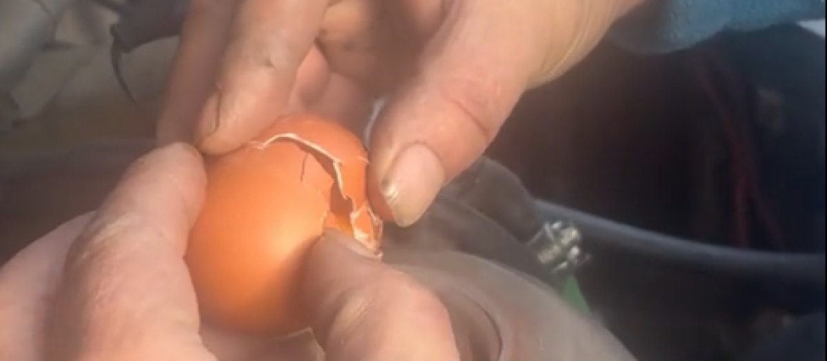 El huevo debe echarse en el circuito de refrigerante