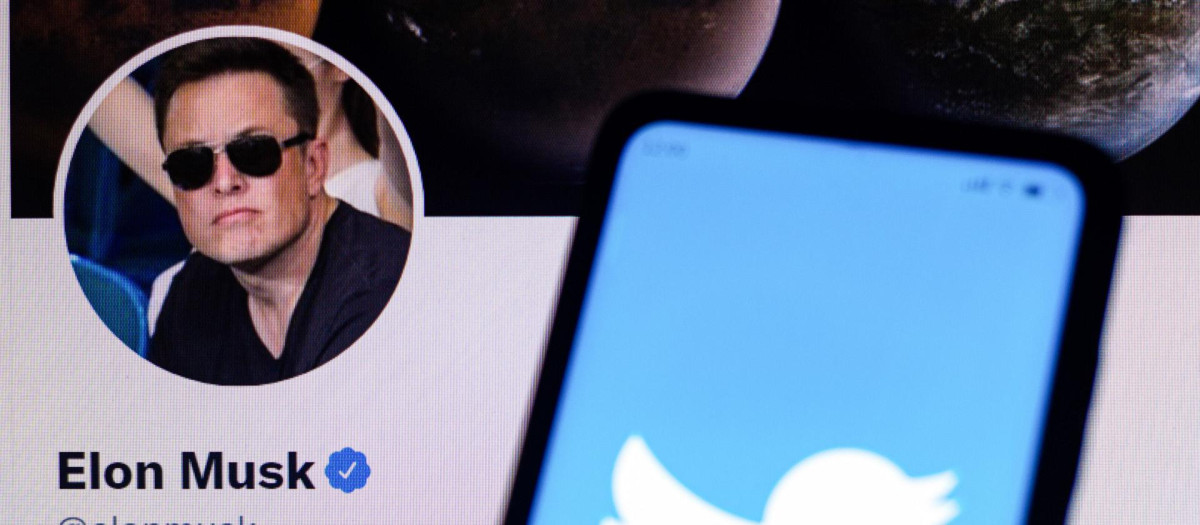 El logotipo de Twitter en un teléfono inteligente con el perfil oficial de Twitter de Elon Musk.
