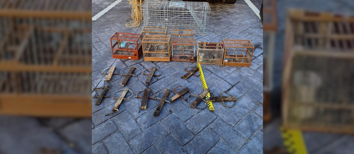 Métodos de captura no selectiva hallados por el Seprona tras investigar a una persona por la captura ilegal de jilgueros.

REMITIDA / HANDOUT por GUARDIA CIVIL
Fotografía remitida a medios de comunicación exclusivamente para ilustrar la noticia a la que hace referencia la imagen, y citando la procedencia de la imagen en la firma
10/2/2026