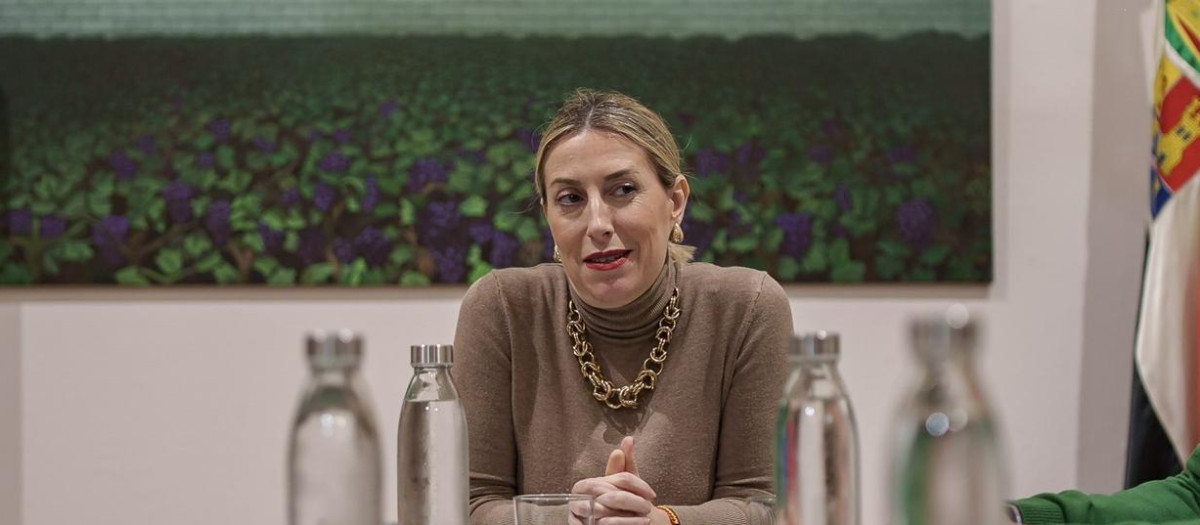 La presidenta de la Junta de Extremadura en funciones, María Guardiola