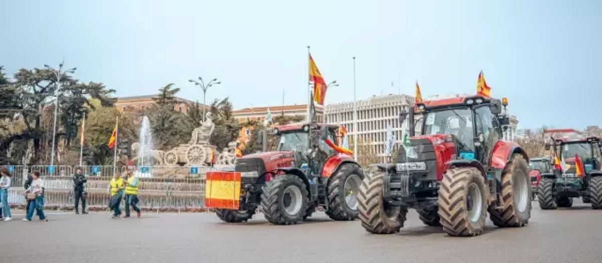 Varios tractores circulan por Cibeles, en Madrid