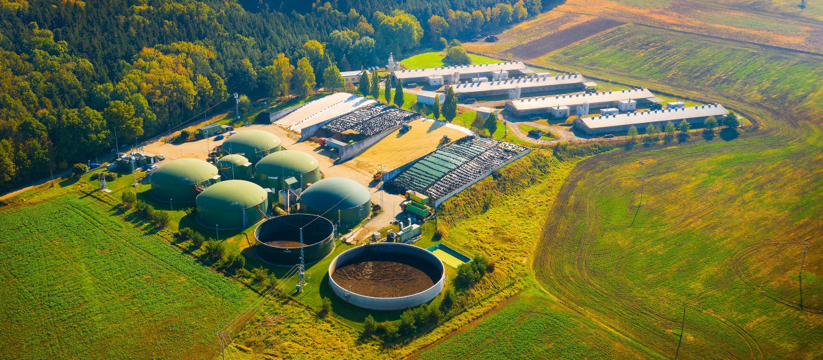 Biogas plant and farm in blooming rapeseed fields. Renewable energy from biomass. Aerial view to modern agriculture in European Union.