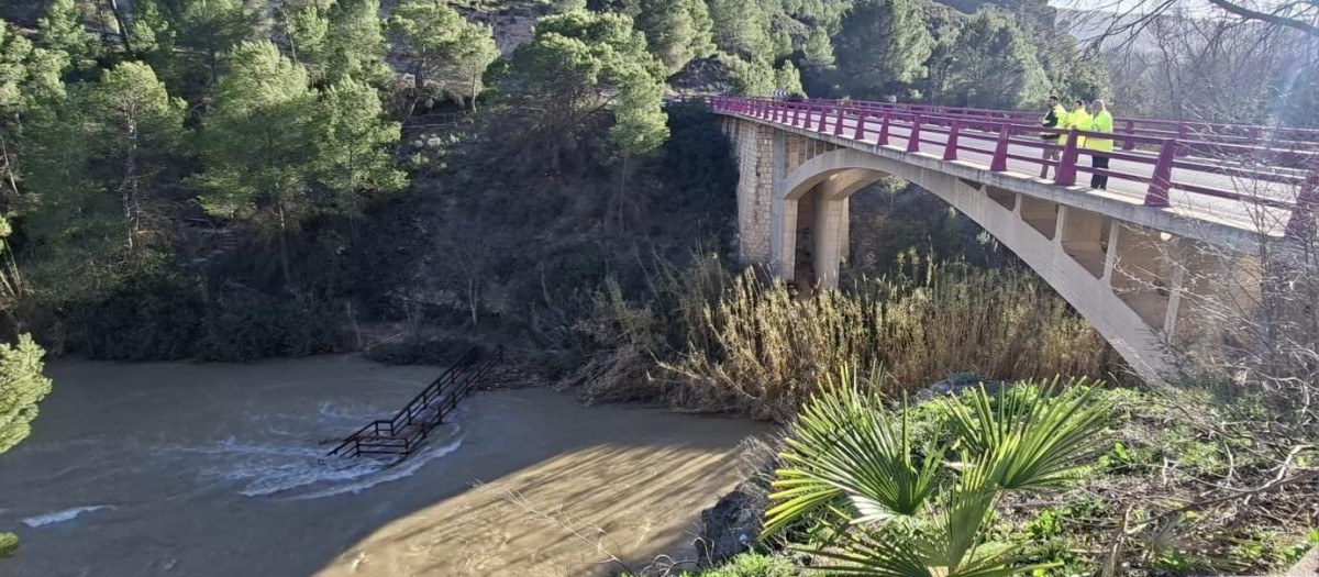 El río Segura a su paso por la provincia de Albacete.

REMITIDA / HANDOUT por JCCM
Fotografía remitida a medios de comunicación exclusivamente para ilustrar la noticia a la que hace referencia la imagen, y citando la procedencia de la imagen en la firma
12/2/2026