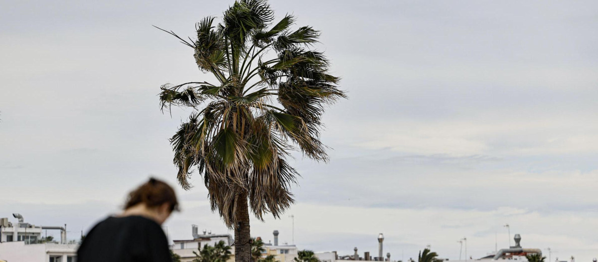 Imagen tomada este miércoles de un episodio de viento en Valencia