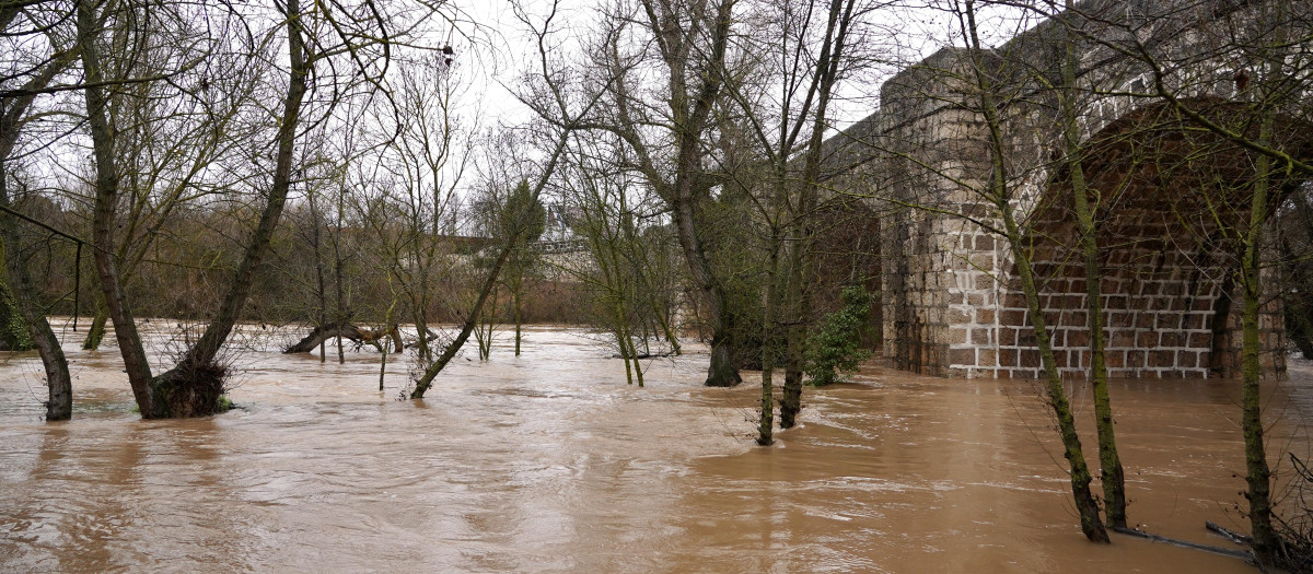 Río Duero a su paso por la localidad vallisoletana de Quintanilla de Onésimo