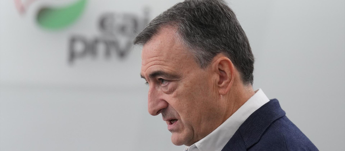 El presidente del EBB de EAJ-PNV, Aitor Esteban