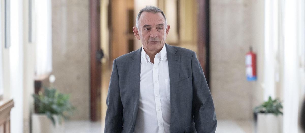 El diputado de Sumar Enrique Santiago