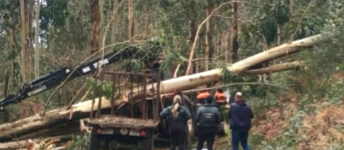 Muere un hombre de 56 años al caerle encima un árbol que talaba en Soutomaior (Pontevedra

REMITIDA / HANDOUT por GUARDIA CIVIL
Fotografía remitida a medios de comunicación exclusivamente para ilustrar la noticia a la que hace referencia la imagen, y citando la procedencia de la imagen en la firma
14/2/2026