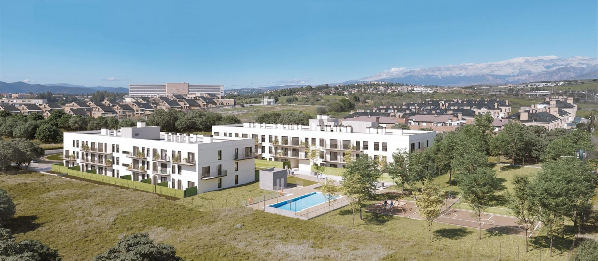 Promoción del Plan Vive