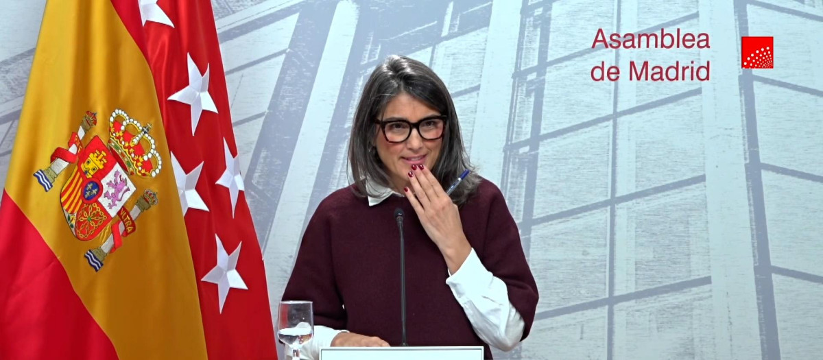La portavoz de Más Madrid en la Asamblea, Manuela Bergerot