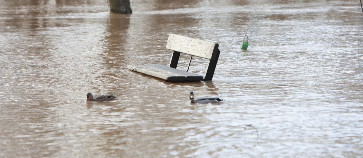 Crecida del río Duero a su paso por Zamora