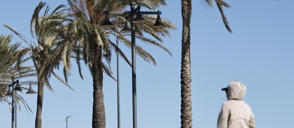 Imagen de archivo de fuertes rachas de viento en la playa de la Malvarrosa de Valencia