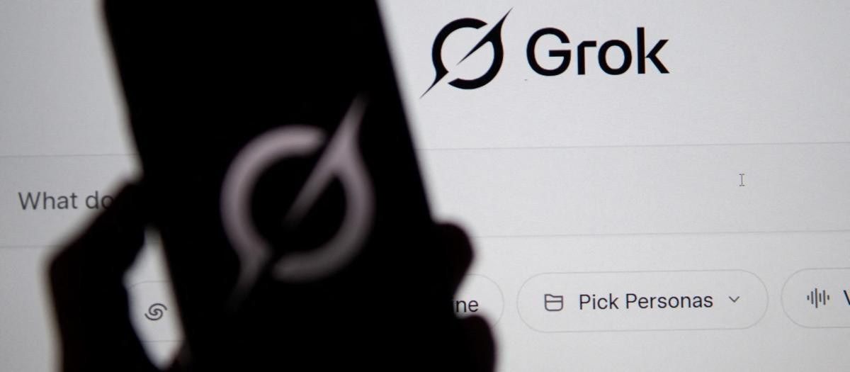 Imagen de archivo de Grok