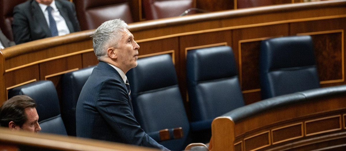 El ministro de Interior, Fernando Grande-Marlaska, durante una sesión de control al Gobierno , en el Congreso de los Diputados