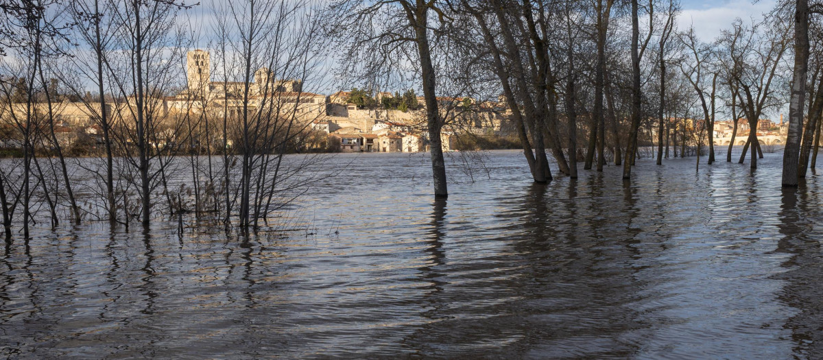 Crecida del río Duero a su paso por Zamora