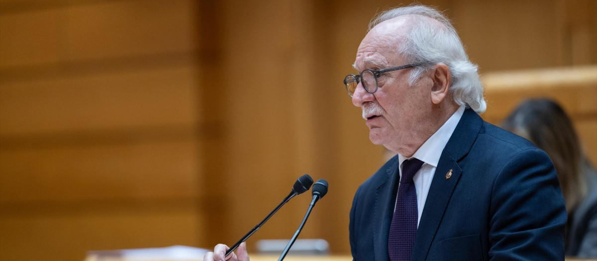 El senador de Vox Fernando Carbonell, durante una sesión plenaria