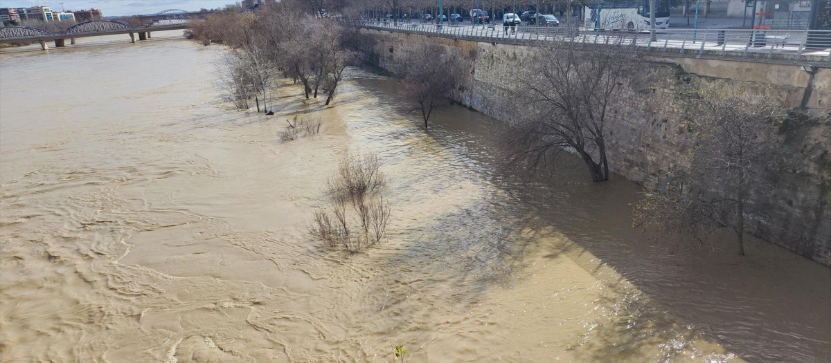 Vista del río Ebro este lunes desde el puente de Piedra de Zaragoza