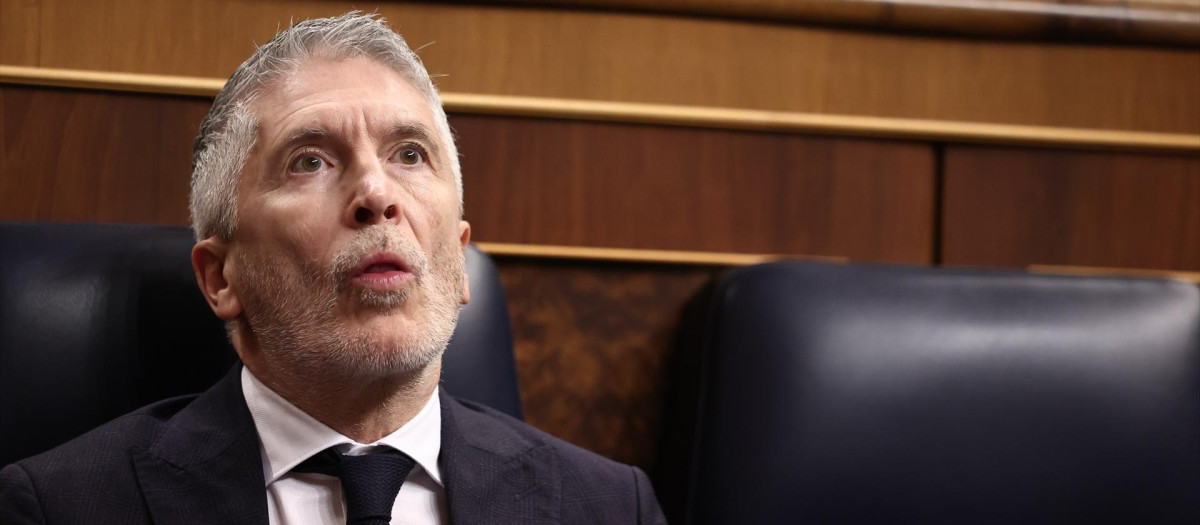 El ministro del Interior, Fernando Grande-Marlaska, el miércoles en el Congreso