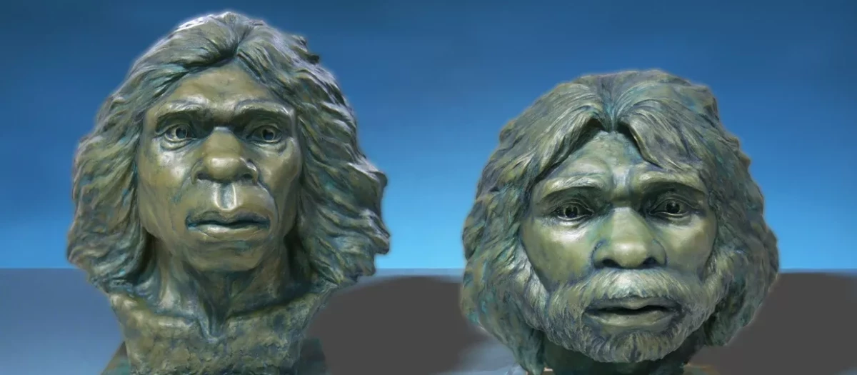 Reconstrucción del Homo erectus de Yunxian